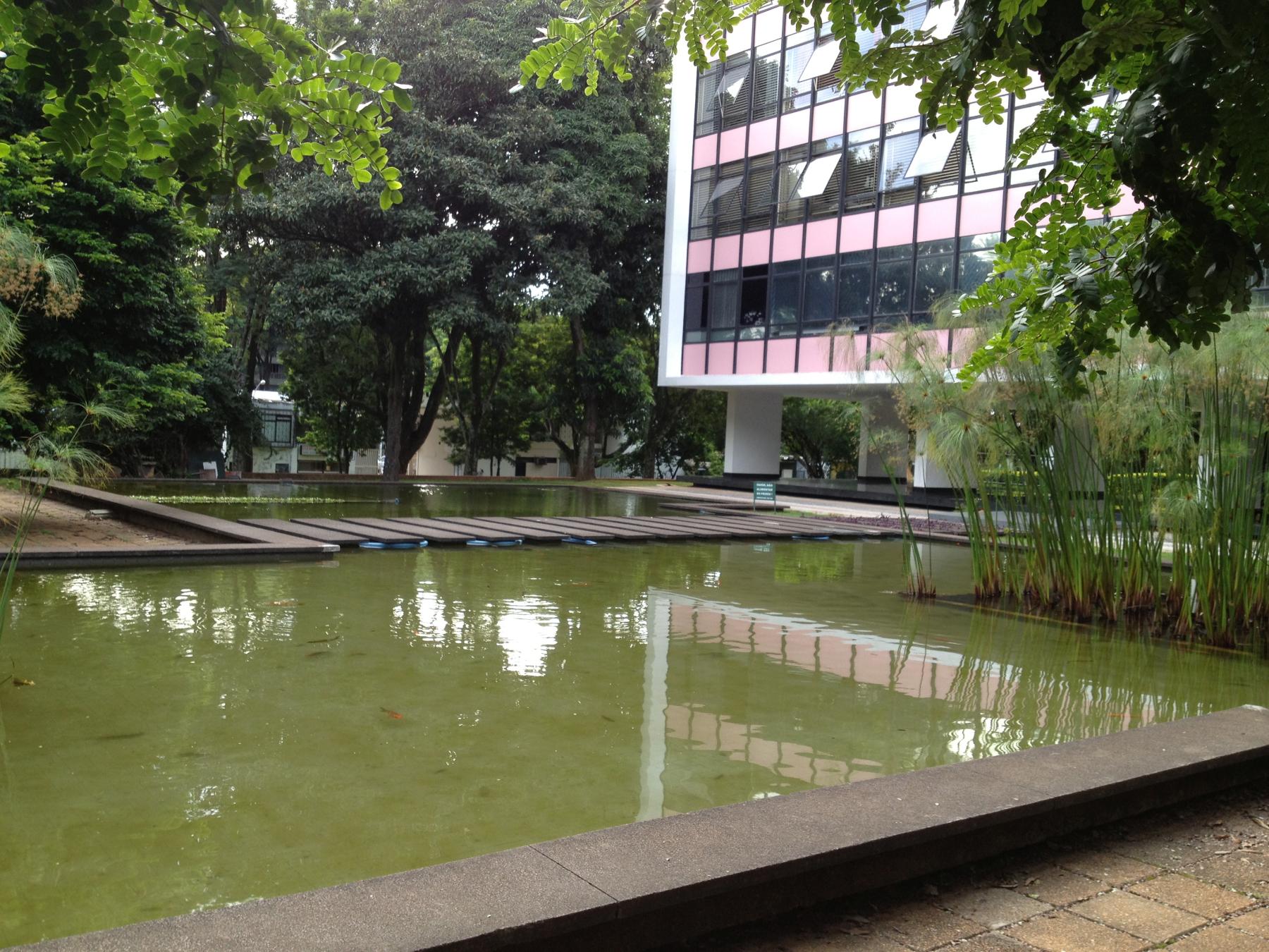 foto (2)