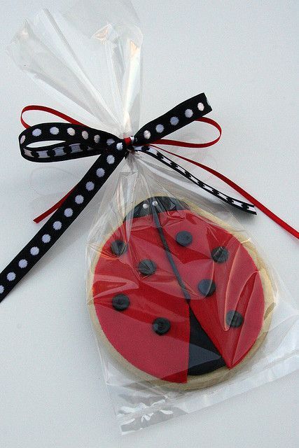 Festa-Lady-Bug-13