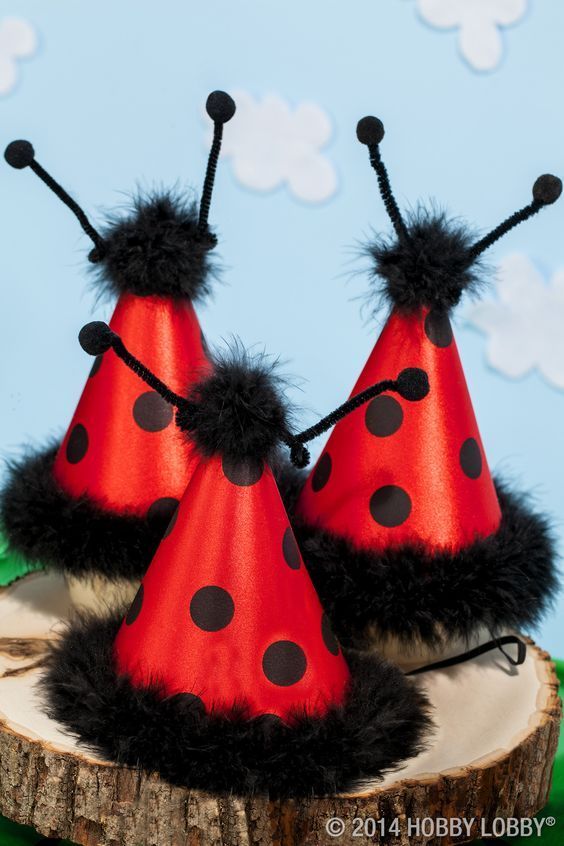 Festa-Lady-Bug-14