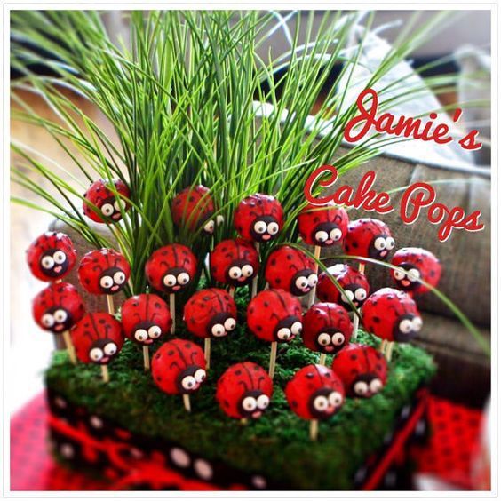Festa-Lady-Bug-30